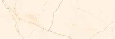 ELEGANCE MARBLE IVO.33,3X100 2