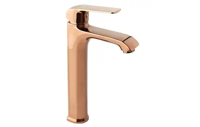 AURORA RG BAT.LVB VIS. 2445210