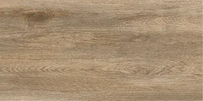 ASTERIA BEIGE 3009 31X62 1,54