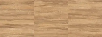 ORANGE COUNTY 1012 17X62 1,37