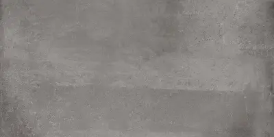 ASIA 3058 31X62 1,54