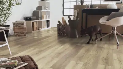 T LAJ SKYE OAK 505715381 2,4