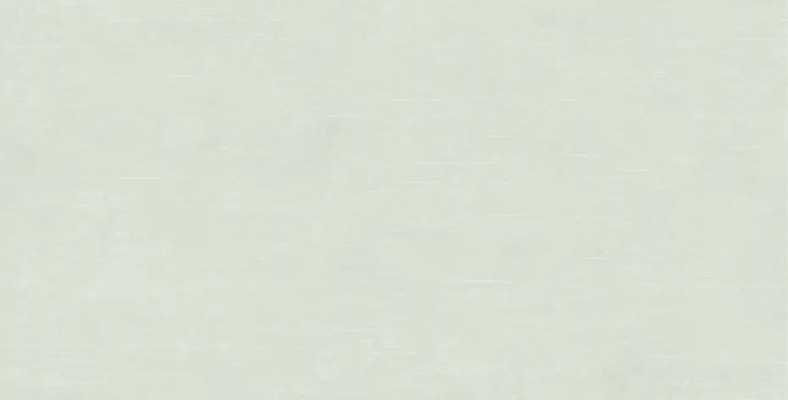 IKON SAGE 60X120 2,16