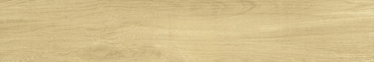 MONTREAL MIELE RET.20X121 1,20