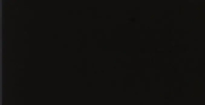 NEGRO LISO MATE 10X30 1,02