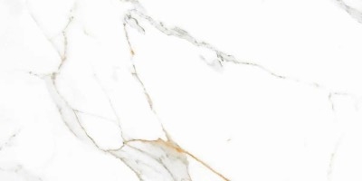 PG PLATINA STATUAR.60X120 1,44